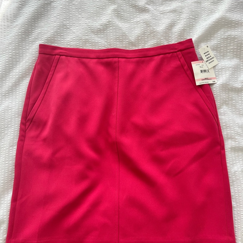 Chic Pink Skirt